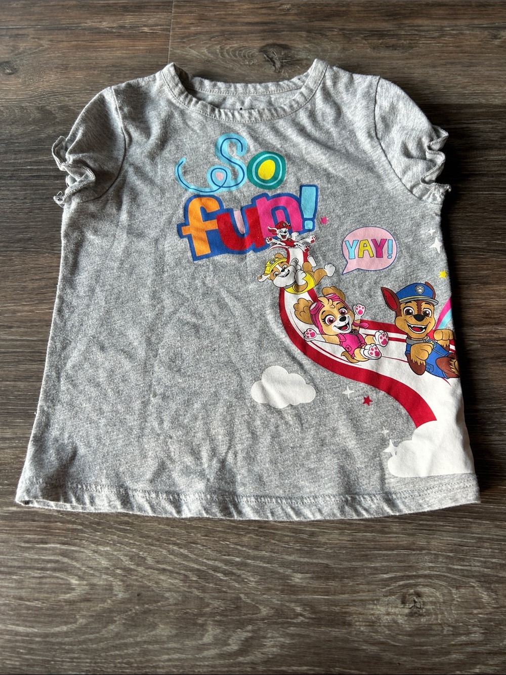 4/$20 Nickelodeon Gray 'So Fun!' Paw Patrol Graphic Tee Sz 3T